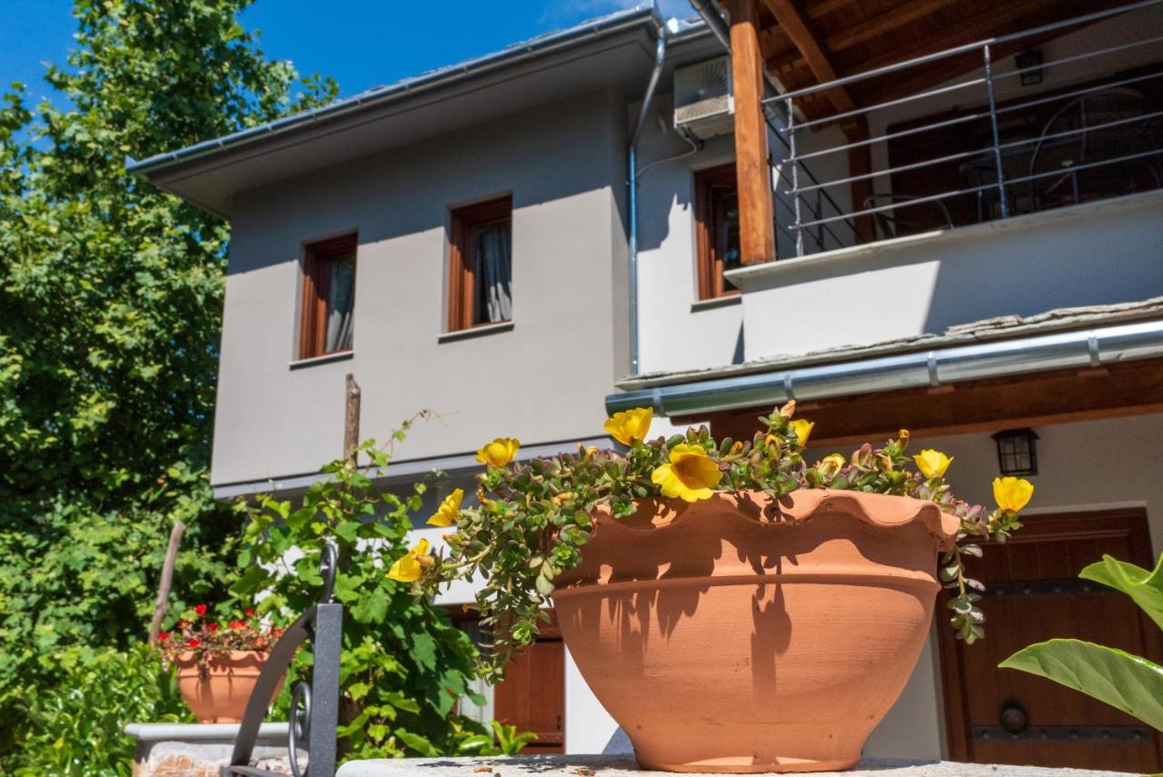 Άλυσσος Suites Tsagarada Exterior photo